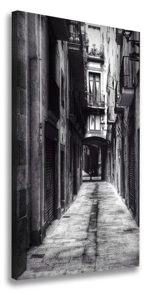 Vászonfotó Barcelona, spanyolország