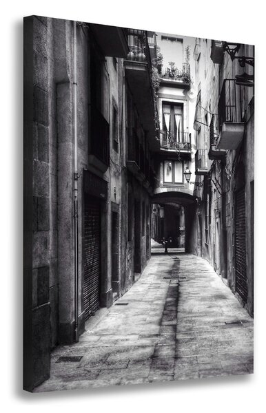 Vászonfotó Barcelona, spanyolország