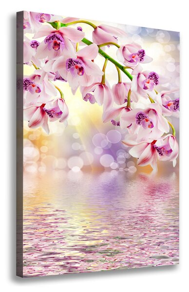 Egyedi vászonkép Orchidea