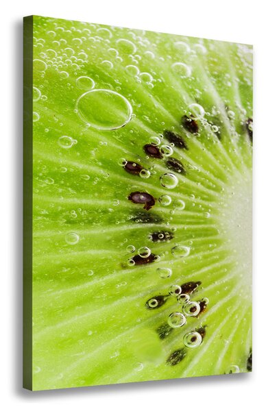 Fali vászonkép Kiwi