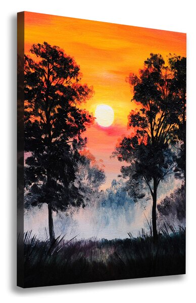 Vászon nyomtatás Sunset erdő