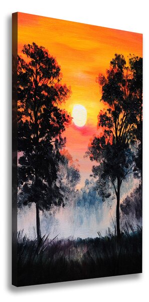 Vászon nyomtatás Sunset erdő
