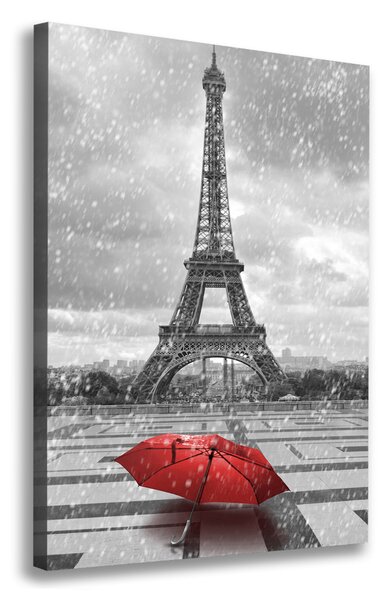 Vászonfotó Párizsi eiffel-torony