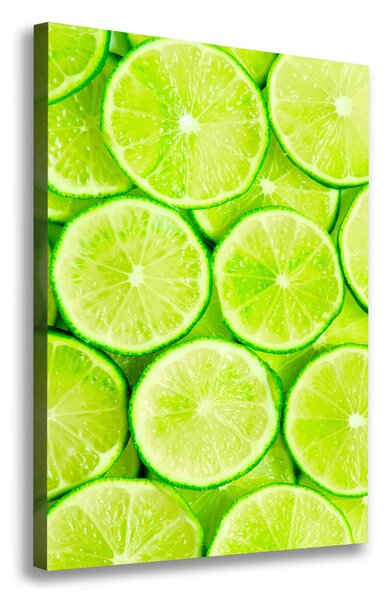 Feszített vászonkép Limes