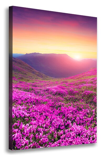 Vászon nyomtatás Hegy rhododendron