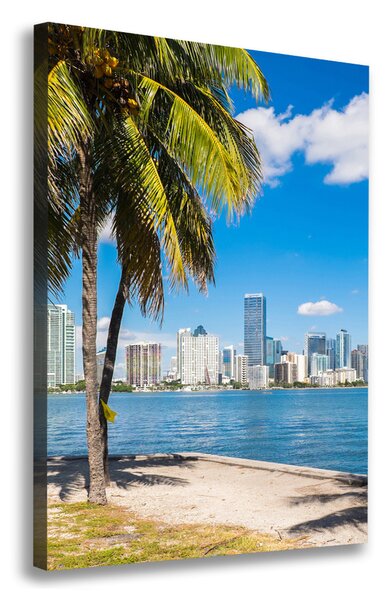 Vászonfotó Miami