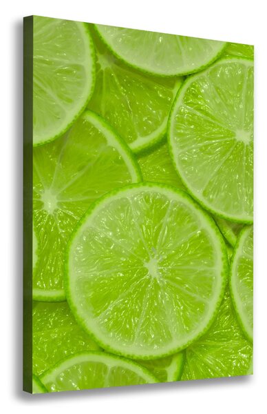 Feszített vászonkép Limes