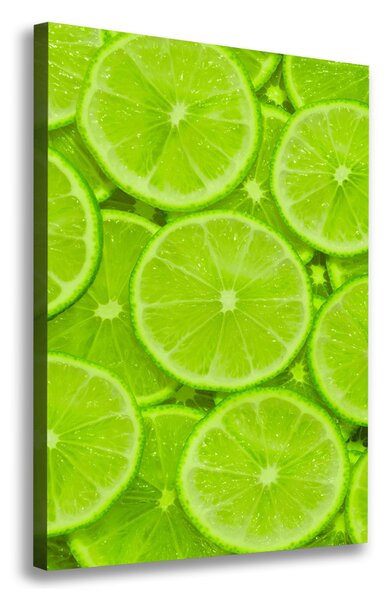 Feszített vászonkép Limes