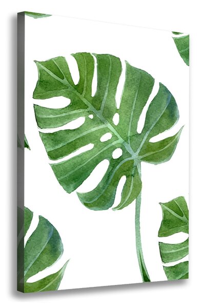 Egyedi vászonkép Monstera