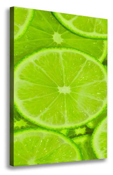 Feszített vászonkép Limes