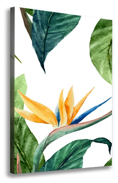 Fali vászonkép Strelitzia reginae