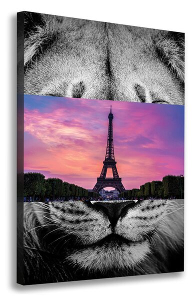 Vászonfotó Párizsi eiffel-torony
