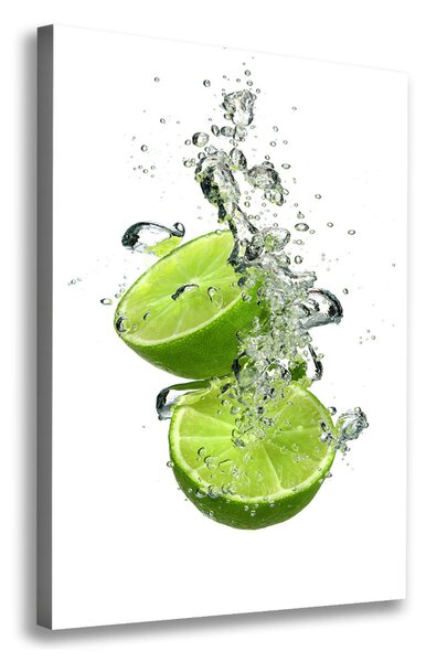 Feszített vászonkép Limes
