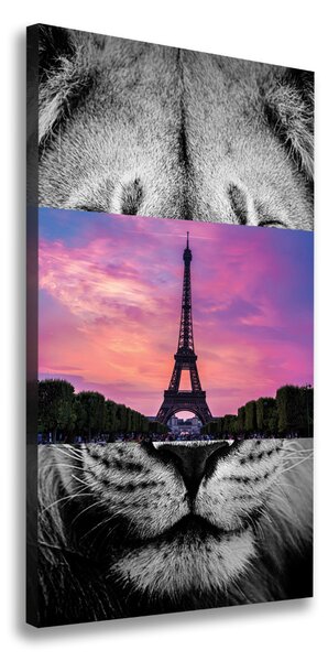 Vászonfotó Párizsi eiffel-torony