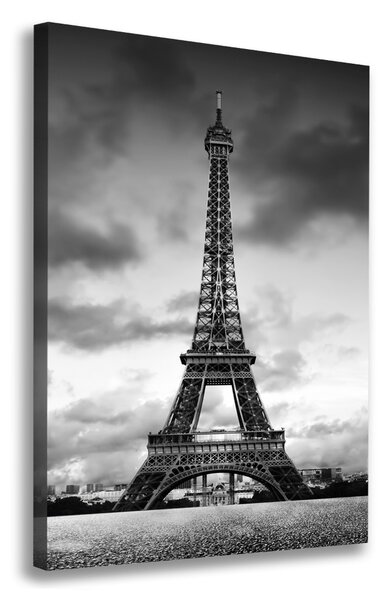 Vászonfotó Párizsi eiffel-torony