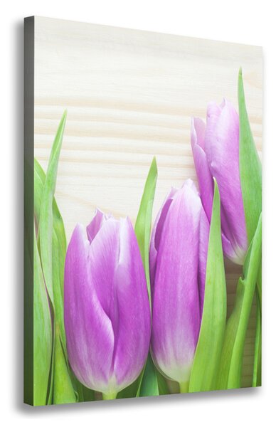 Egyedi vászonkép Lila tulipánok