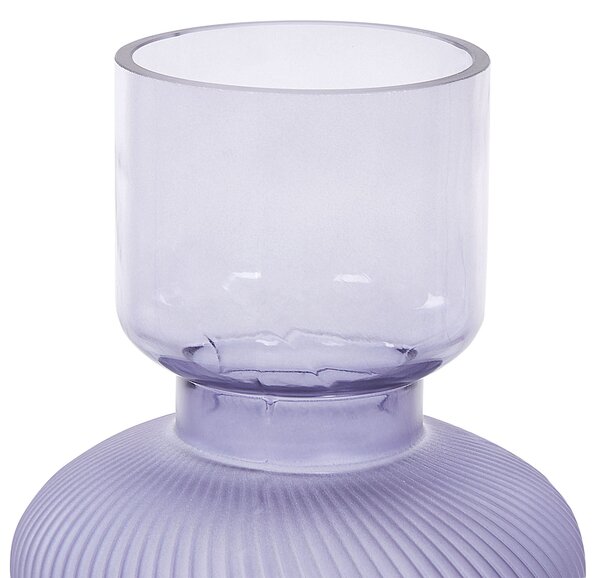Virágtartó váza RODIA Üveg 24 cm Lila