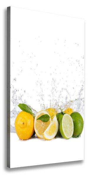 Feszített vászonkép Citrusfélék