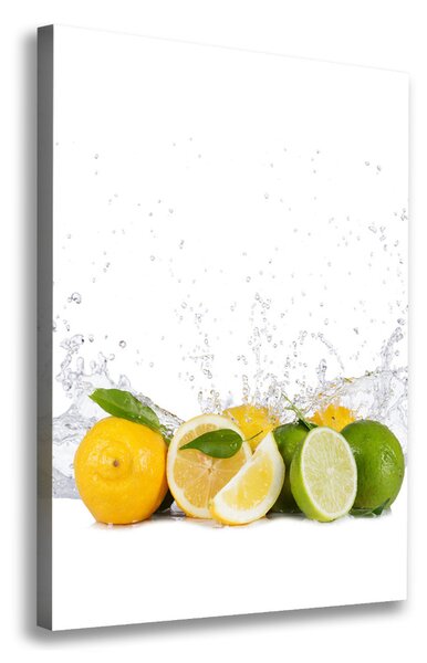 Feszített vászonkép Citrusfélék