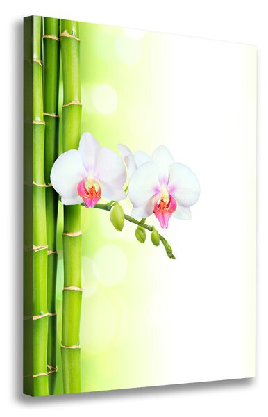 Egyedi vászonkép Orchidea és bambusz