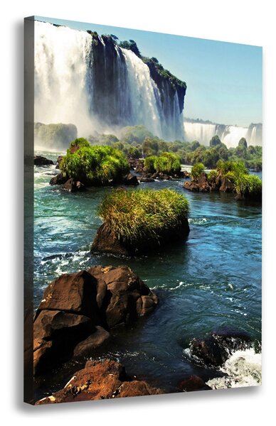 Vászon nyomtatás Vízesés iguacu
