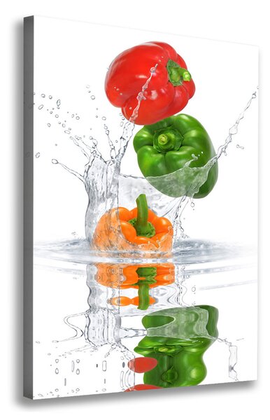 Feszített vászonkép Paprika