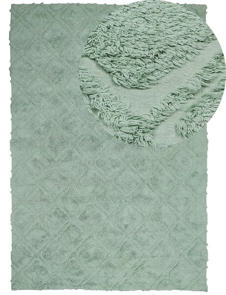 Szőnyeg HATAY Világoszöld 160 x 230 cm Pamut