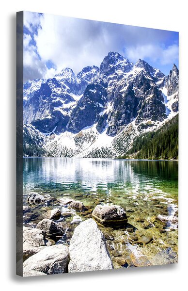 Vászon nyomtatás Marine szem tatry