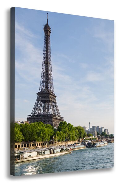 Vászonfotó Párizsi eiffel-torony