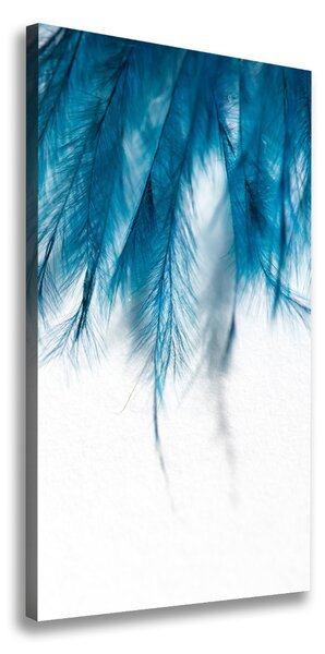 Fénykép vászon Kék tollak