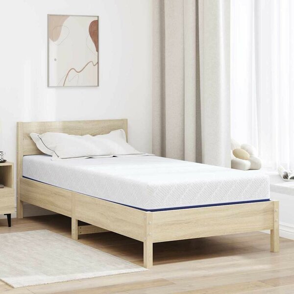 Matrac Fehér és kék 100 x 200 cm Hab