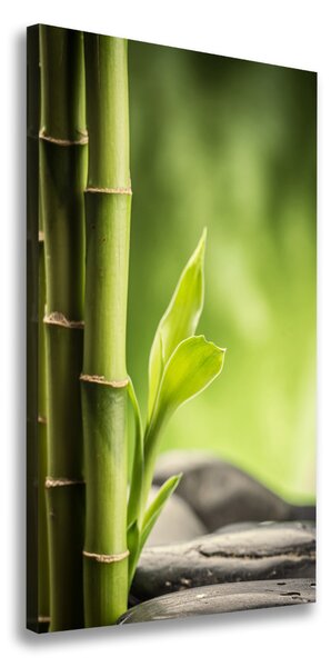 Egyedi vászonkép Bambusz