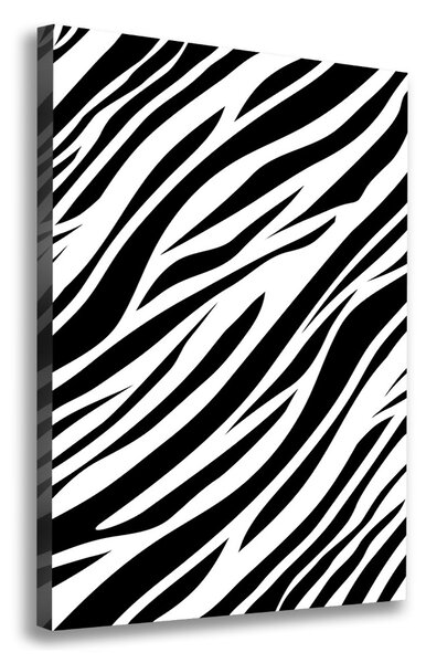 Fénykép vászon Zebra háttér