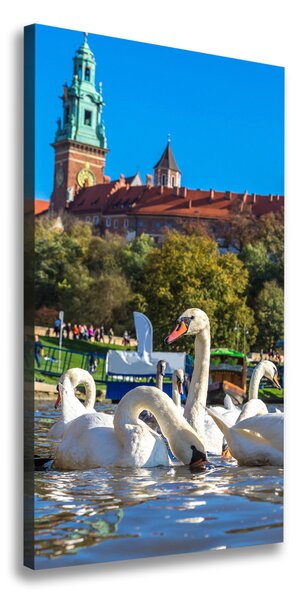 Vászonfotó Krakkó, lengyelország