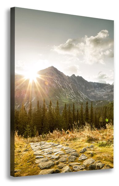 Vászon nyomtatás Sunset tatra
