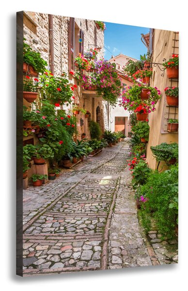 Vászonfotó Umbria olaszország