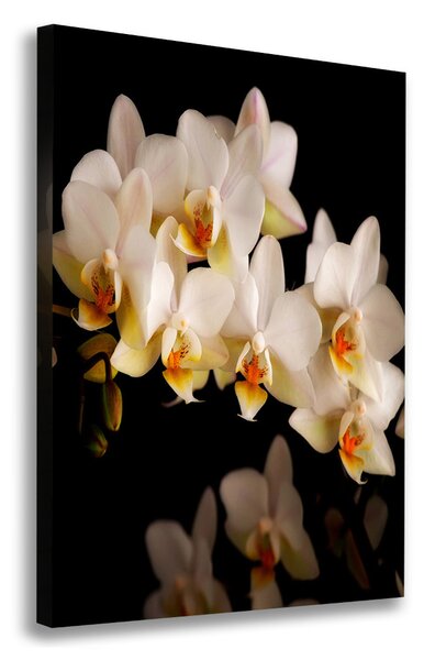 Egyedi vászonkép Orchidea