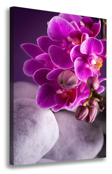 Egyedi vászonkép Rózsaszín orchidea