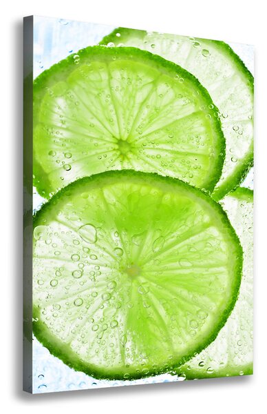 Feszített vászonkép Lime víz alatt