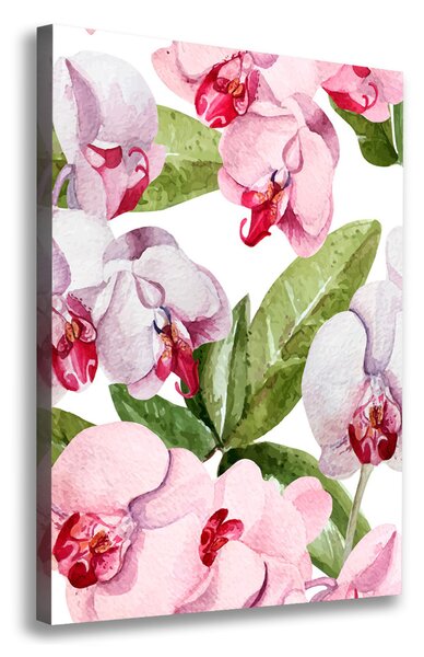 Fali vászonkép Orchidea