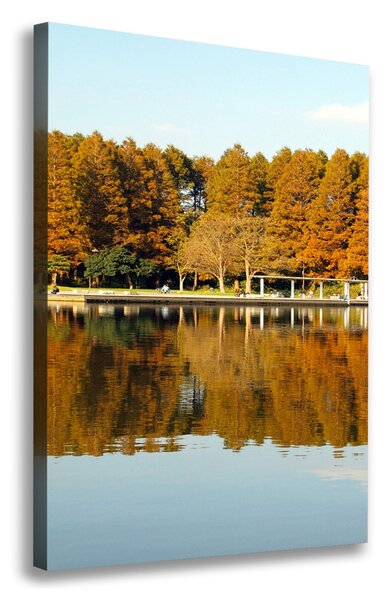 Vászon nyomtatás Park ősszel