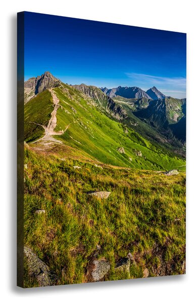 Vászon nyomtatás Tatry