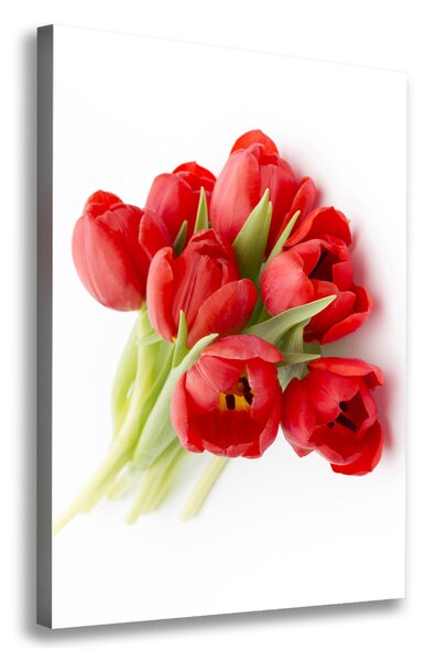 Egyedi vászonkép Piros tulipánok