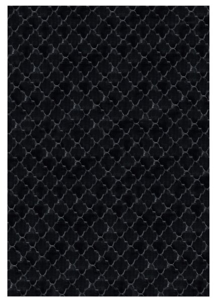 Műszőrme szőnyeg GHARO Fekete 160 x 230 cm