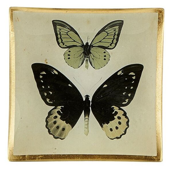 Butterfly dekorációs tál, multicolor/arany
