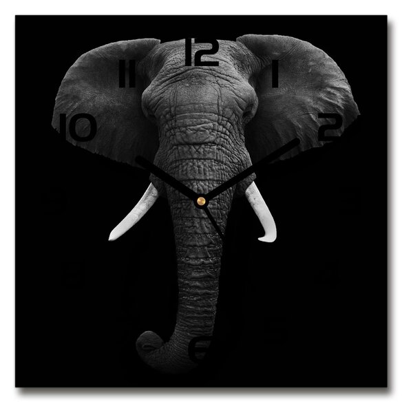 Szögletes üvegóra Afrikai elefánt