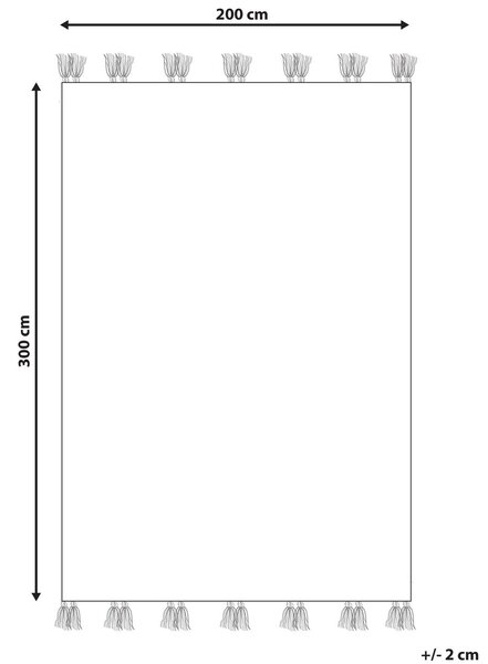 Szőnyeg MRGASHAT Színes 200 x 300 cm Gyapjú Kilim