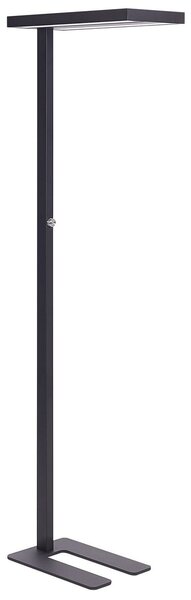 LED állólámpa TAURUS Dimmer funkcióval Fém Fekete