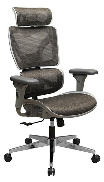 Ergonomikus irodai szék Performance, RONDI, hálós háttámlával, állítható deréktámasszal, szinkron mechanizmussal, fekete