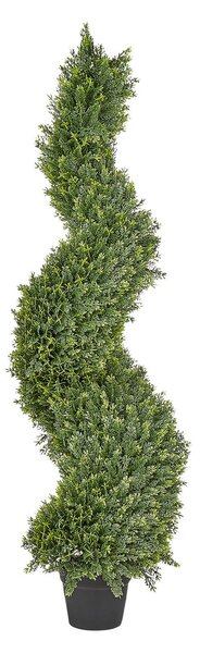 Műnövény CYPRESS SPIRAL TREE 126 cm Zöld
